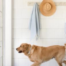 Covered Porch With Hat Rack and Golden Retriever 