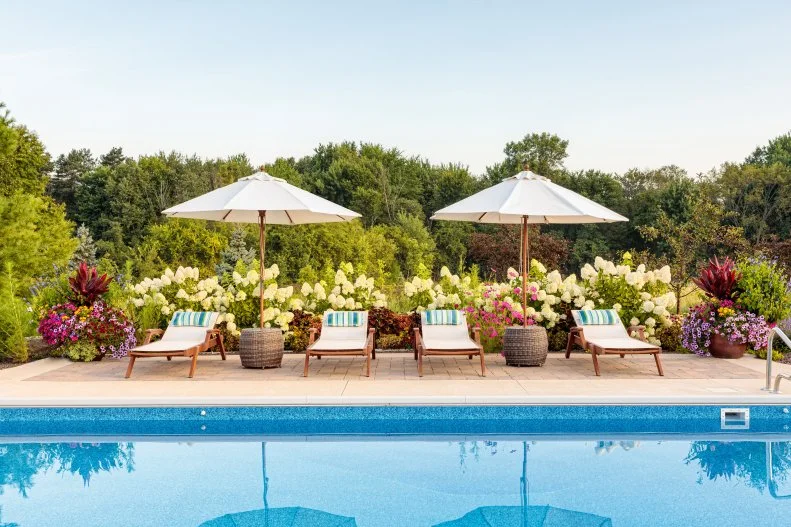 Planting Around a Pool A swimming pool with four lounge chairs and two umbrellas beside it, backed by a border of 'Limelight' hydrangeas.