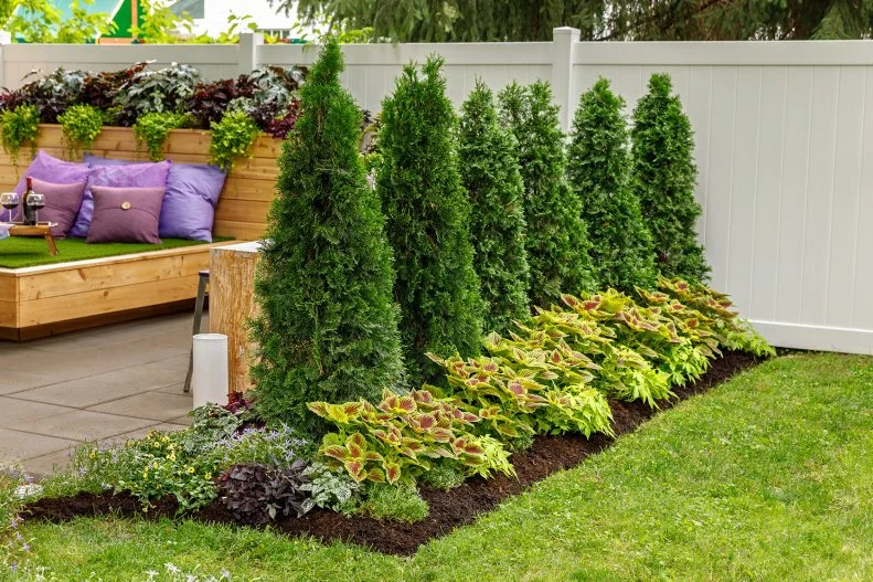 A Shady Backyard Sanctuary A row of arborvitaes underplanted with coleus and other plants shields a raised deck from view.
