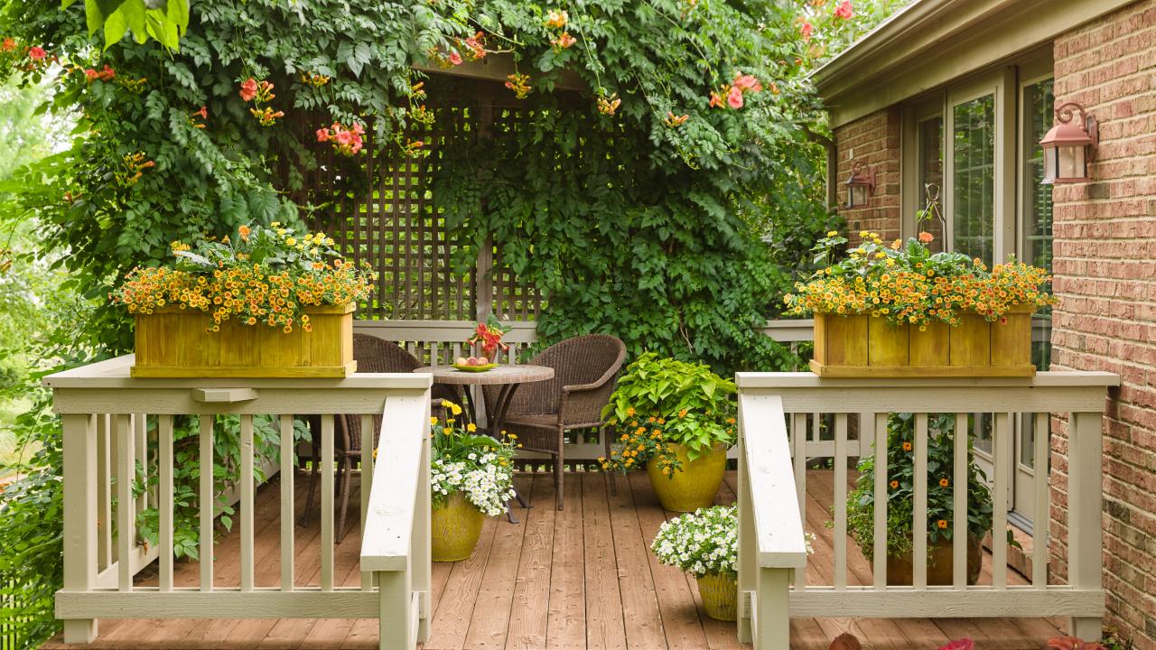 https://hgtvhome.sndimg.com/content/dam/images/hgtv/fullset/2022/8/29/0/CI_Proven_Winners-small-backyard-deck-trellis.jpg.rend.hgtvcom.1280.720.suffix/1661786250755.jpeg