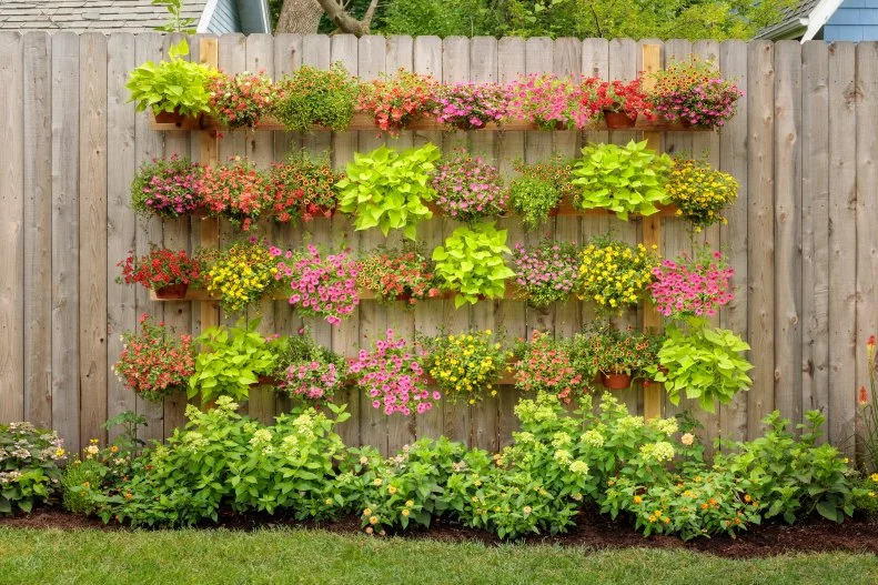 Grow a Vertical Garden “Vertical gardening is a great way to beautify a small space by growing plants on an existing wall or fence or by adding a trellis,” says Rebecca Sears, Chief Gardening Guru for Ferry-Morse. Climbers like morning glories and cardinal climbers can also camouflage a less attractive structure. "Non-climbing, container friendly plants are also vertical garden-approved if your structure has some empty space that can be filled with small pots." Herbs like mint, sage and thyme and foliage plants like sweet potato vines can accent containers of violas, lobelia, and other flowers grown from seeds or starts.