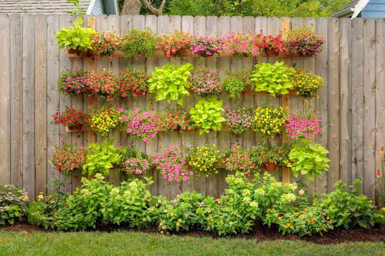 “Vertical gardening is a great way to beautify a small space by growing plants on an existing wall or fence or by adding a trellis,” says Rebecca  Sears, Chief Gardening Guru for Ferry-Morse.  Climbers like morning glories and cardinal climbers can also camouflage a less attractive structure. "Non-climbing, container friendly plants are also vertical garden-approved if your structure has some empty space that can be filled with small pots." Herbs like mint, sage and thyme and foliage plants like sweet potato vines can accent containers of violas, lobelia, and other flowers grown from seeds or starts.
