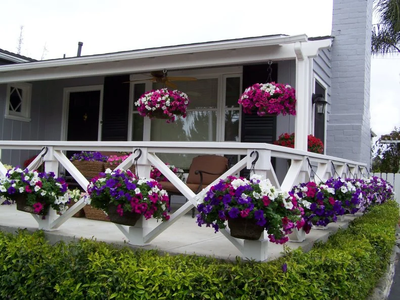 A Backyard of Hanging Baskets When there’s virtually nowhere to plant in your backyard, take your landscaping above ground. This small deck is dressed up with hanging baskets. If your spot gets lots of sun, fill them with colorful annuals like Surfinia petunias or Sun Parasol mandevillas. Shade-loving plants for baskets include begonias, ferns, coleus, impatiens and fuchsias. When the seasons change, re-plant the containers with cool weather annuals like dianthus, silvery Dusty Miller, petunias, geraniums and cyclamens. Stick to two or three colors so your design won’t look too busy.