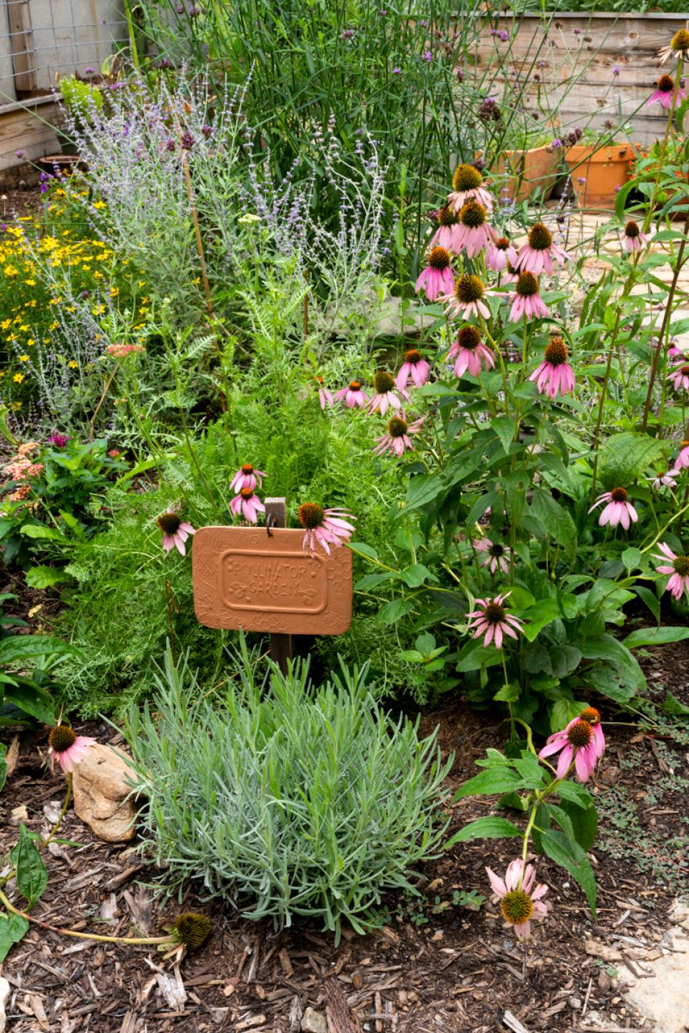 Pollinator Garden Bed | HGTV