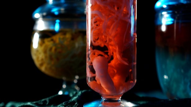 Realistic Specimen Jars With Colorful Water and Organ-Like Insides