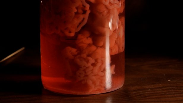 Use a plastic syringe to extract the red dyed sodium alginate mixer. Then add it to the calcium chloride mixture. The syringe will create worm-like, long strings that appear as organs. Once all the faux creations are made, remove them from the calcium solution with your hands. Place the DIY organs into apothecary jars filled with water, then add a few drops of food coloring for add contrast. Add fake eyes, ears and fingers to the jars for a creepier-looking concoction and enjoy.