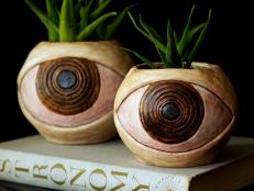 Two Eyeball Clay Planters Sit Side-By-Side on Book With Aloe Inside