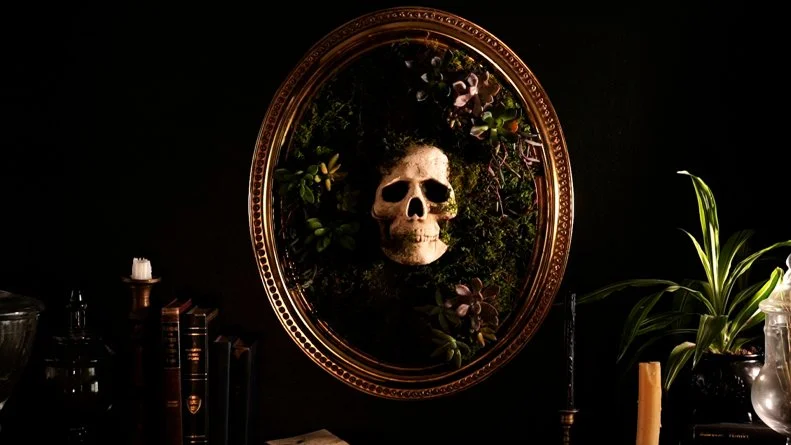 Foam Skull Planter With Moss, Succulents Around on Old Frame