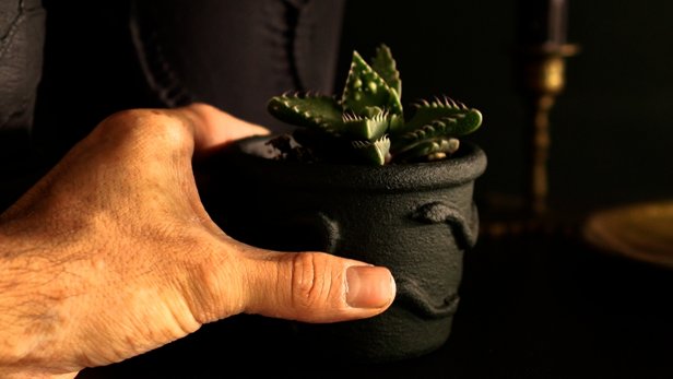 Make these creepy Halloween planters using toy bats and worms with tips and tricks by Nick Alcaraze. To make your own you will need, small terracotta plants, plastic insects and bats, baking soda, black latex paint, glue, paint brush, low temp hot glue gun and matte acrylic spray.