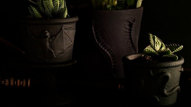 DIY Embossed Planters With Bats and Worms, Black Paint, Cactus Inside