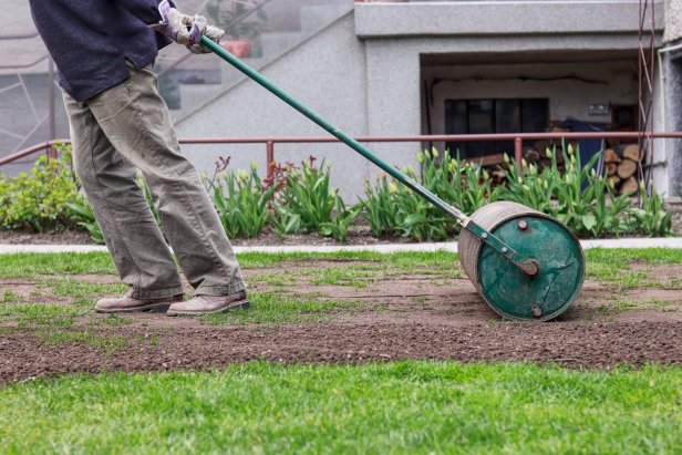 rolling lawn