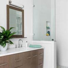 Transitional Bathroom With Plant