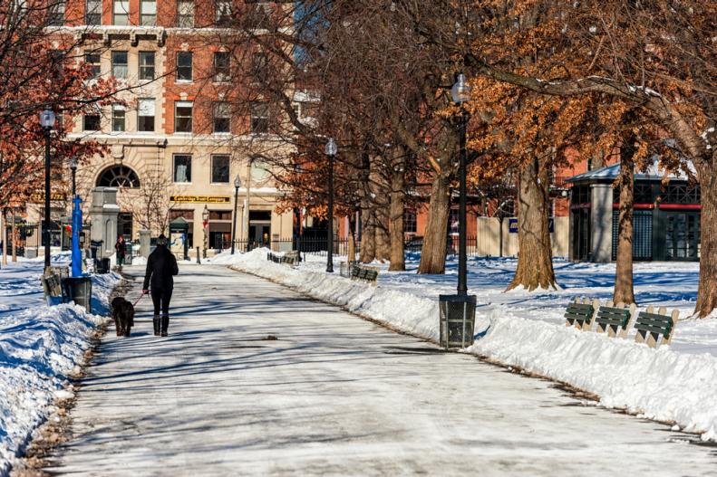 A person walking a dog in Boston in winter