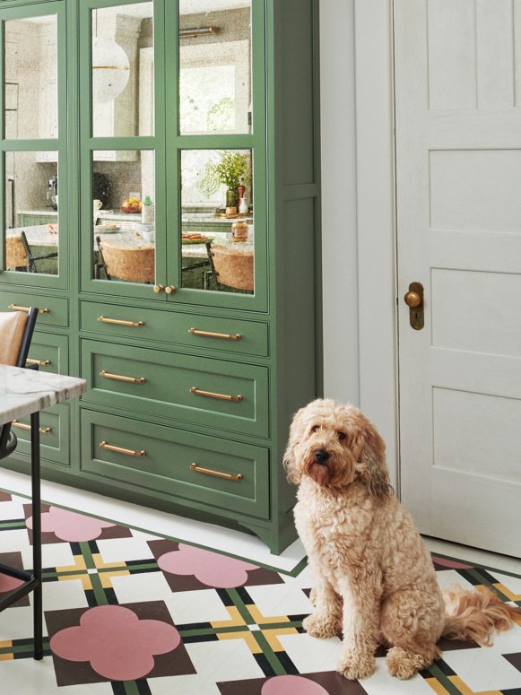 Dog Sitting on a Painted Floor in a Green and White Kitchen