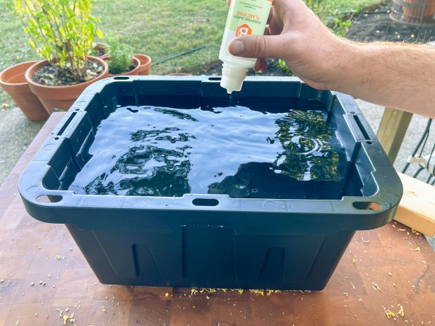 The next step in this DIY hydroponic garden is to add nutrients to the water in the container.
