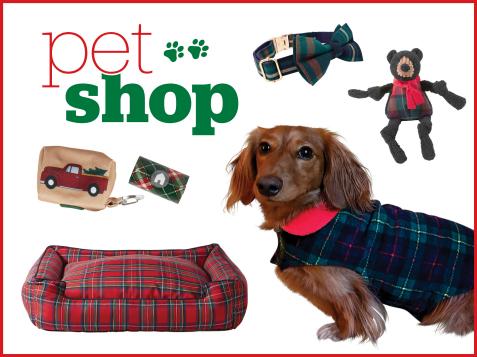 10 Pretty Plaid Accessories for Your Pet
