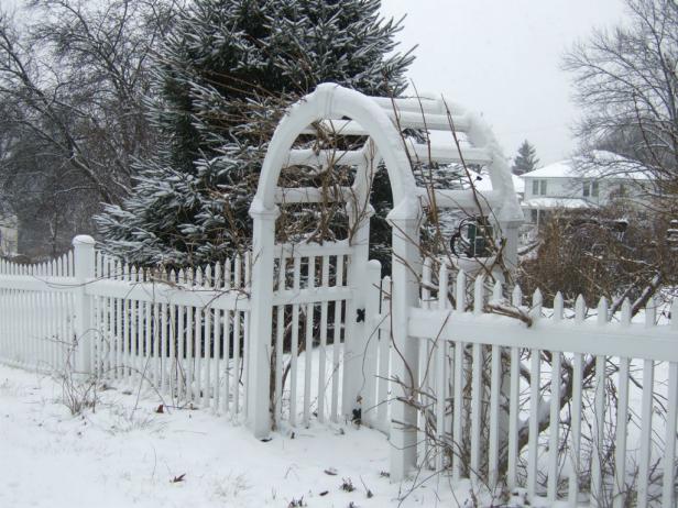 Winter garden ideas: 20 ways to a beautiful winter backyard
