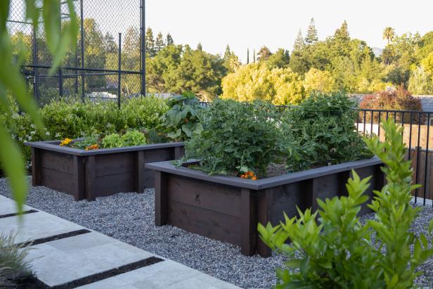 Raised Bed Vegetable Gardens | HGTV