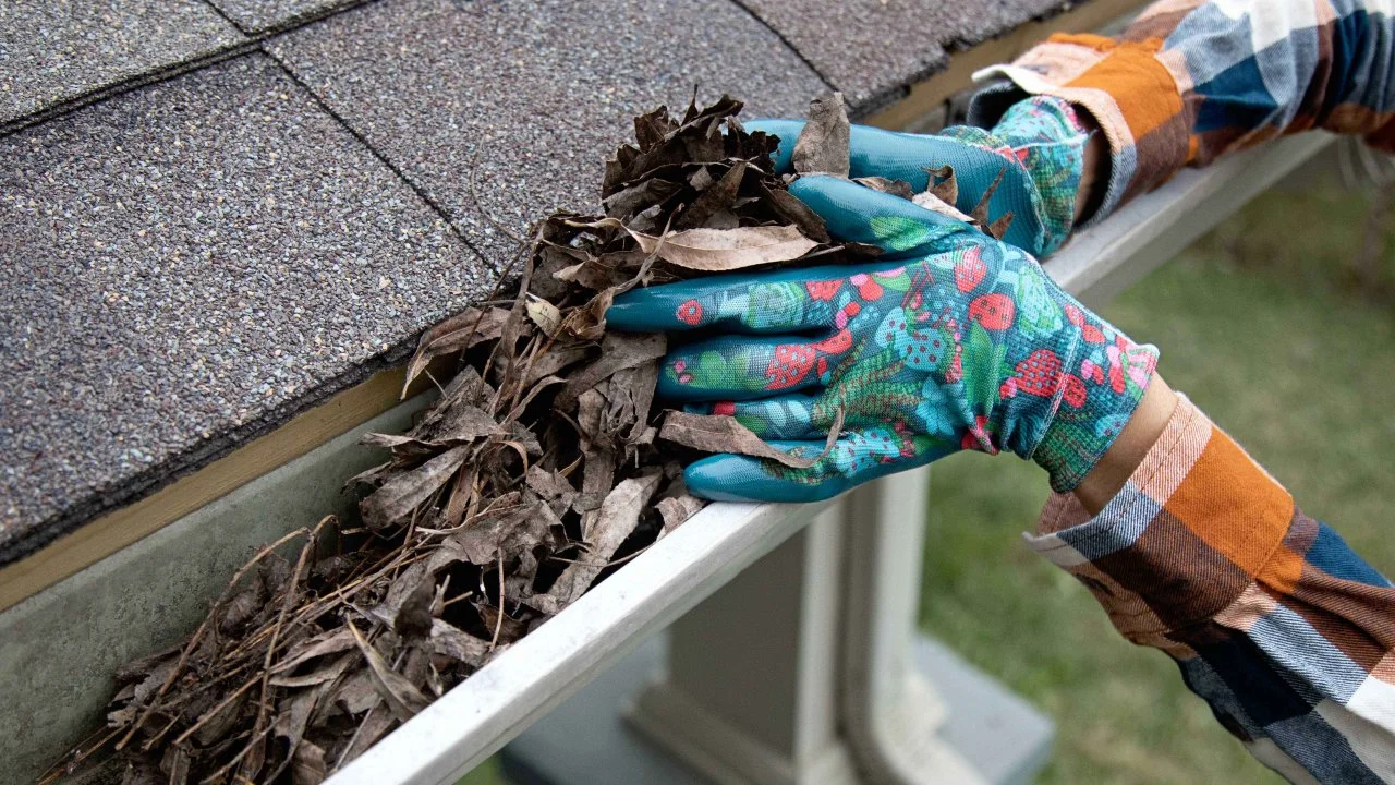 Gutter Cleaning