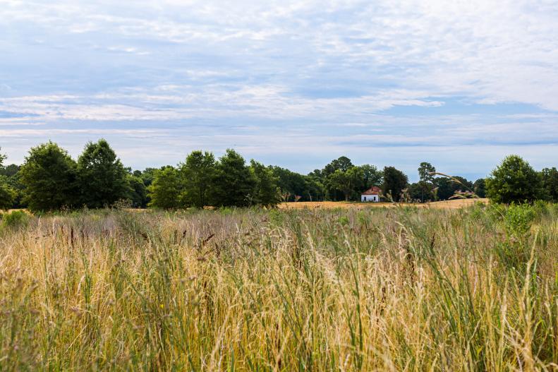 Farmland in North Carolina where Jewel calls home