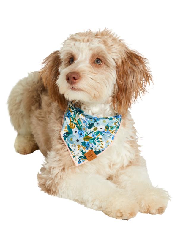 Labradoodle Watson and his floral bandana were featured in HGTV Magazine.