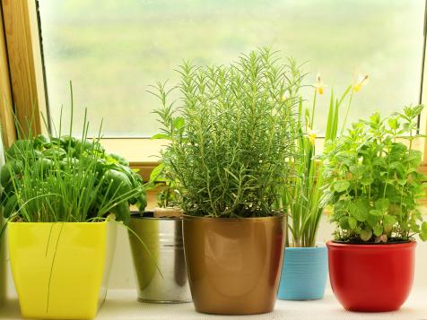 How to Plant a Kitchen Herb Garden