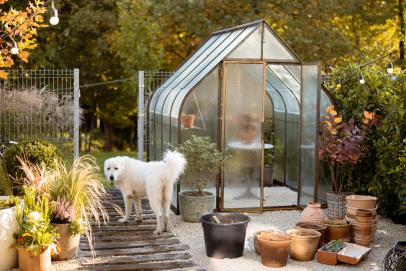 Affordable Greenhouse Supplies You'll Love