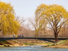 GLENCOE, ILLINOIS/USA - MAY 1, 2018: Seven women and one man stroll as a group, perhaps, along a footbridge across a lagoon on a sunny afternoon in spring at Chicago Botanic Garden.