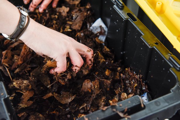 It’s crucial to keep an eye on the moisture level of your worm compost bin. If the worm bedding is dry to the touch, gently add a little bit of water with a watering can or spray bottle. Avoid adding so much water that it pools at the bottom of the bin, as this will limit the worms’ habitat to the drier top portion of the bin and cause smelly, anaerobic conditions.