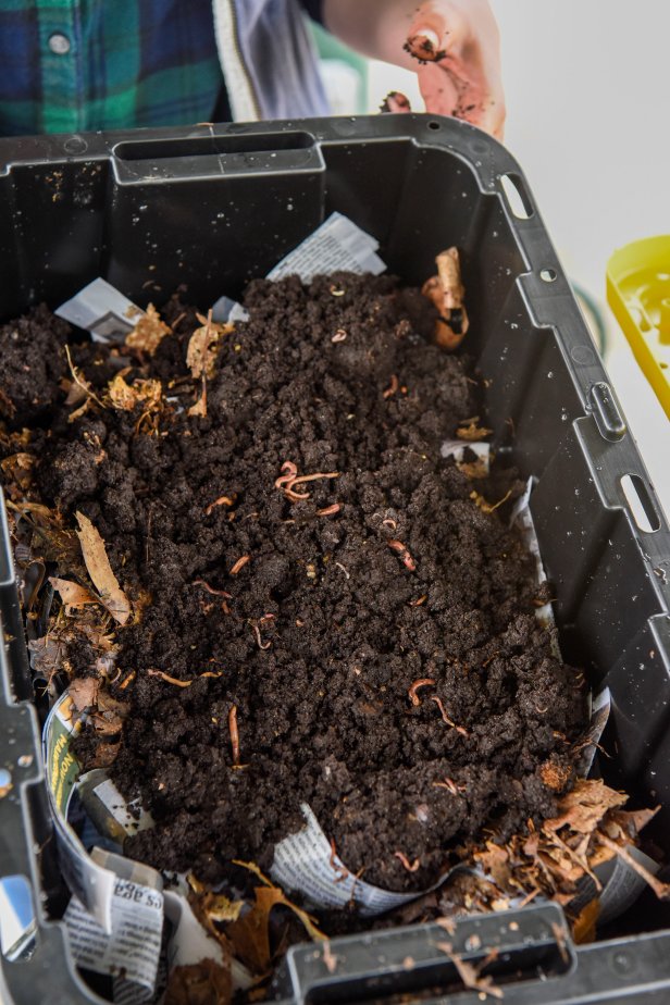 Woman Holding a DIY Worm Compost Bin With Worms Inside