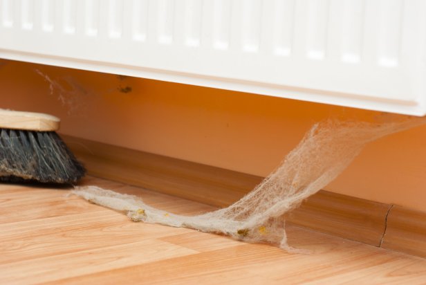 broom with dirty spider web at house cleaning