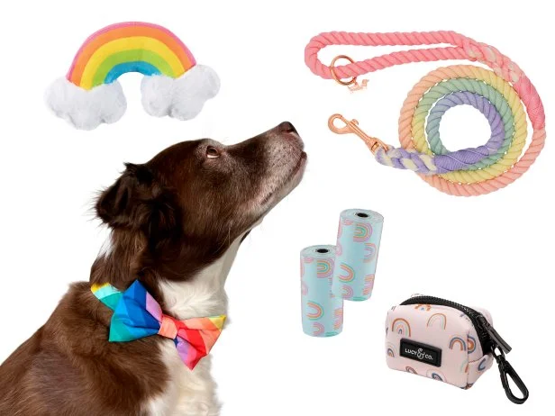 HGTV Magazine found the coolest rainbow-themed pet gear for your dog or cat.