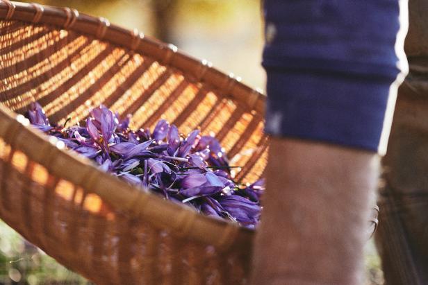 Basket Of Saffron Flowers