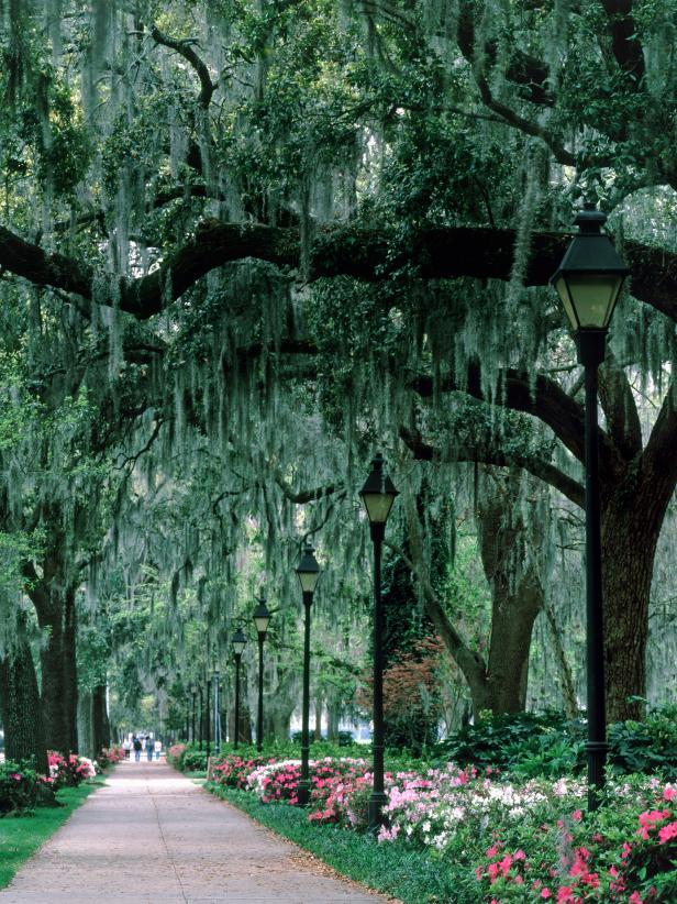 This park in Georgia was featured in HGTV Magazine's travel guide for Savannah.