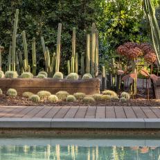 Cacti Garden By Swimming Pool