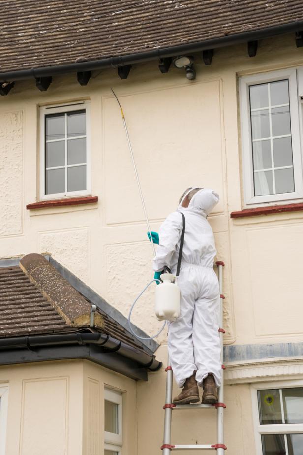 Much Hadham, Hertfordshire. UK. June 29th 2020. Unidentifiable Pest Controller in protective clothing on a ladder spraying wasp killer treatment on the eaves of a house, 