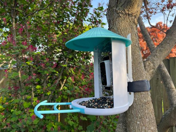 The sturdy velcro strap included in the installation kit makes it a breeze to mount the Birdfy without hammering nails into a fence post of tree.