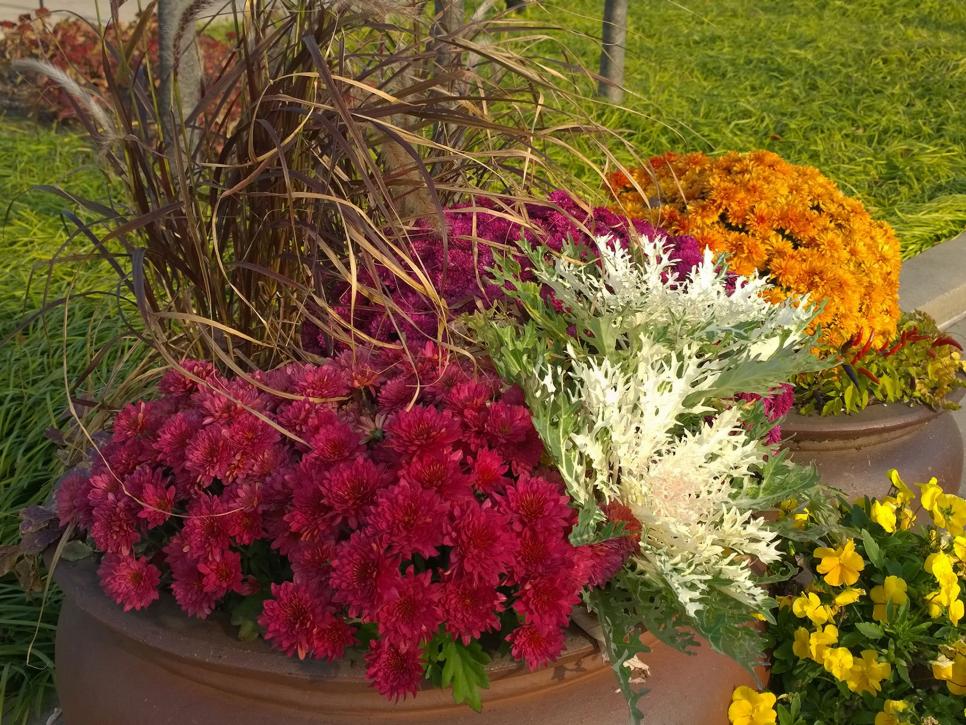 How to Decorate With Mums in Creative Ways HGTV