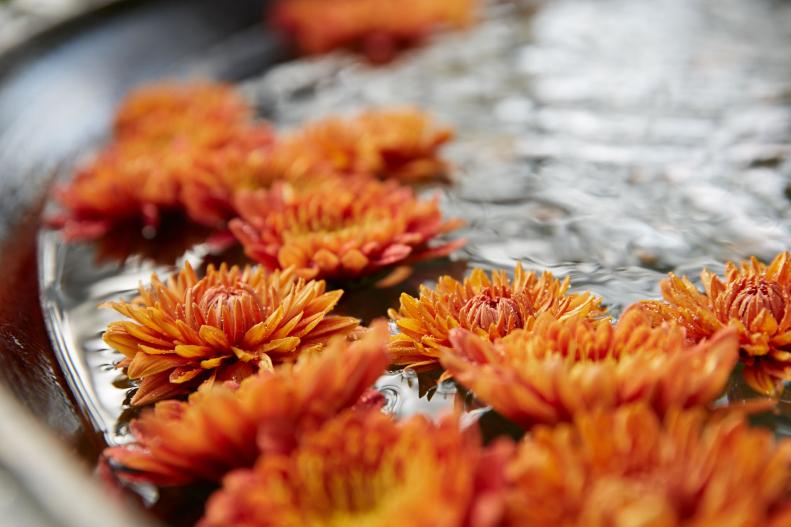 Cut mums floating in a saucer of water.