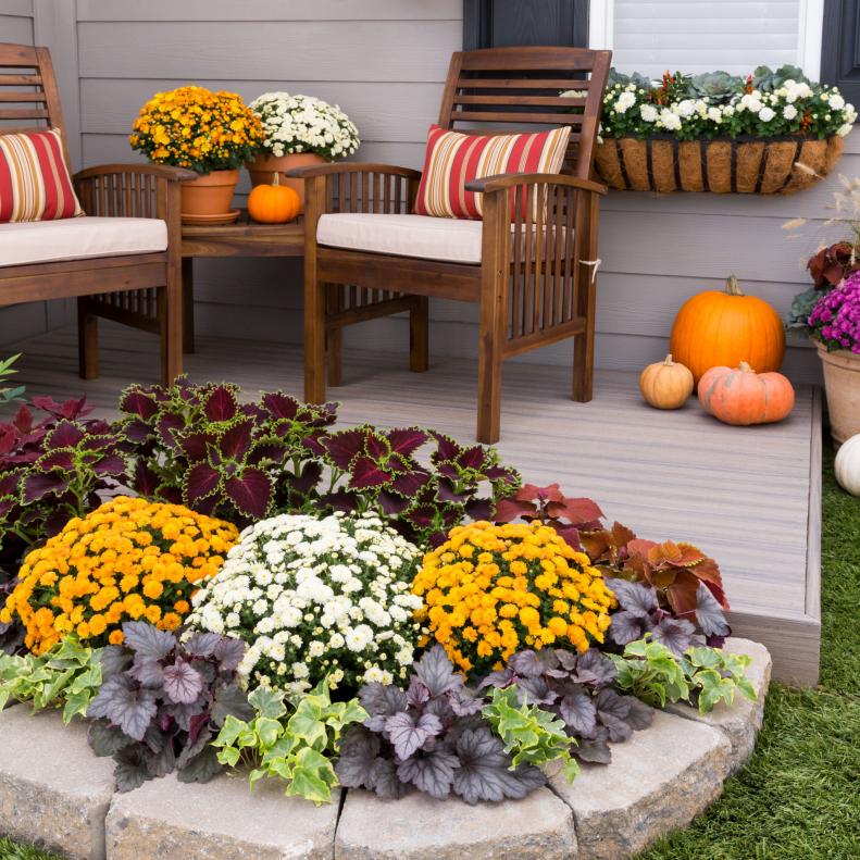 A round garden bed made of white pavers is planted with mums, coleus, heucheras and ivy.