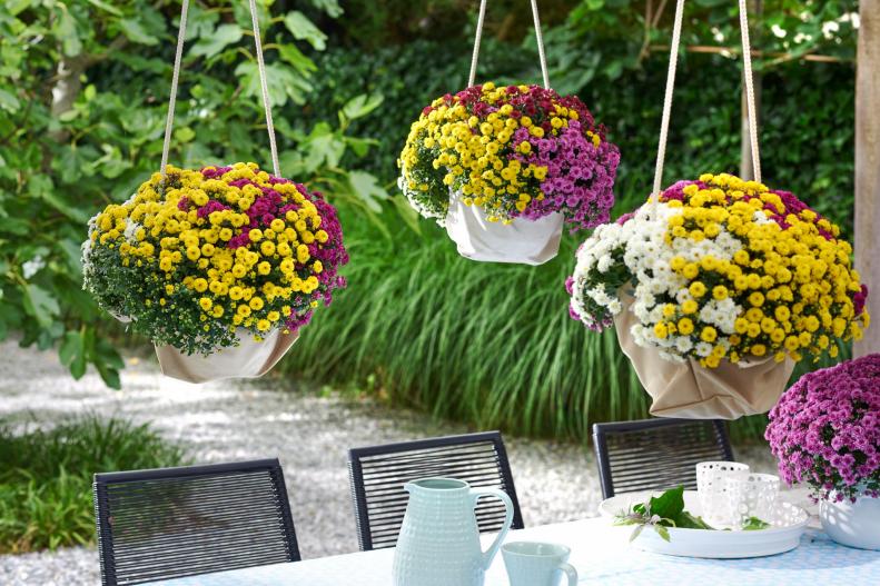 Hanging baskets of multi-colored mums