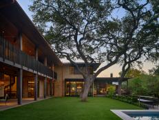 Midcentury-Modern House With Large Tree in Backyard