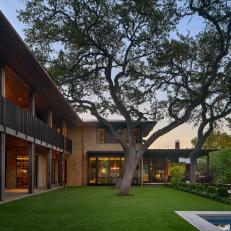Midcentury-Modern House With Large Tree in Backyard