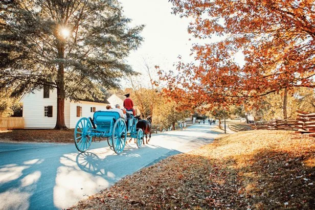 Tourists riding in a horse-drawn buggy steered by a man in a Colonial uniform at Colonial Williamsburg in Virginia.