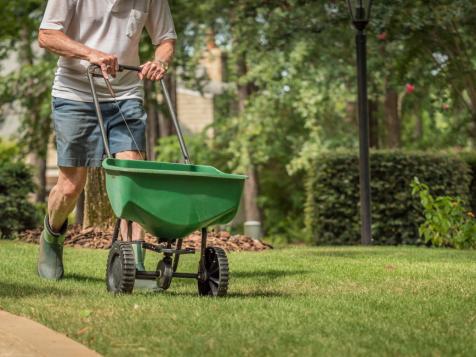 How to Overseed a Lawn in 4 Steps