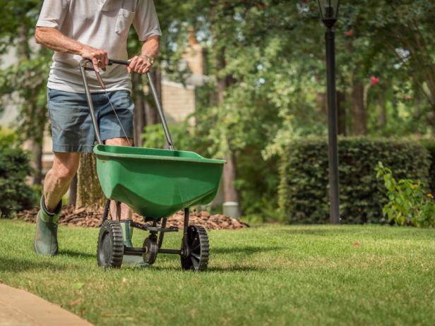 How to Overseed a Lawn in 4 Steps | HGTV