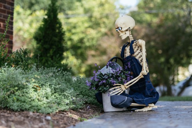 Skeleton dressed in overalls working in a garden