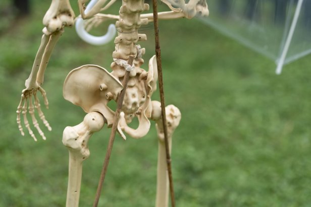 How to Make a Posable Skeleton Stand