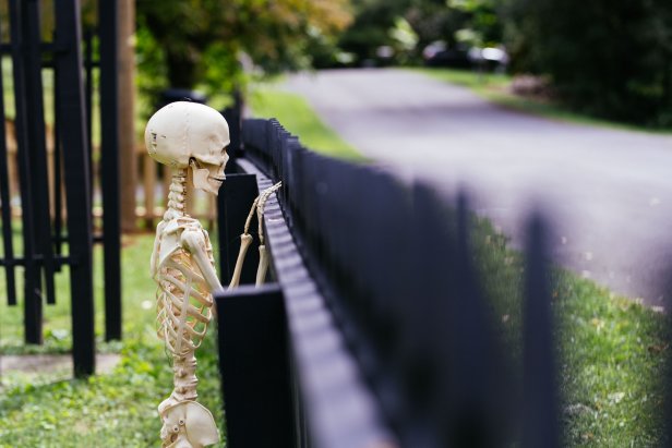 Skeleton peeping over a fence.