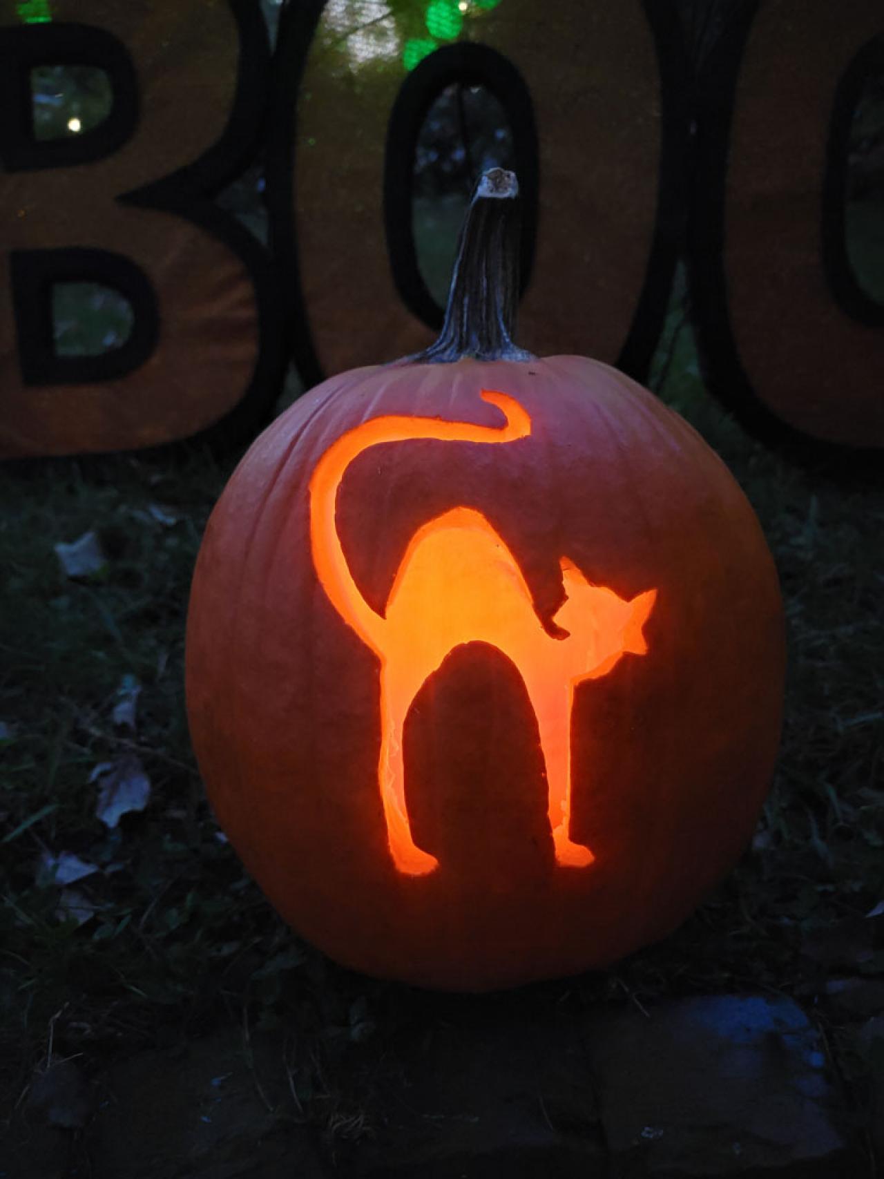 cat pumpkin designs